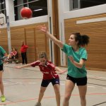 2016_01_23 Landesliga Frauen